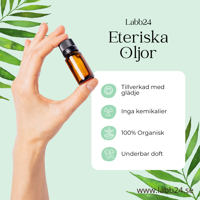 Eterisk Olja Citrus 3-Pack